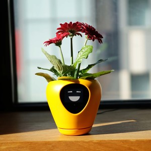 Αυτή η «έξυπνη» γλάστρα μετατρέπει το φυτό σου σε ένα εικονικό κατοικίδιο