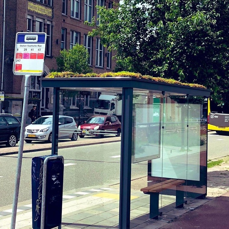 316 στάσεις λεωφορείων στην Ολλανδία μετατράπηκαν σε πράσινα οικοσυστήματα για μέλισσες