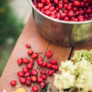 Ο συνδυασμός cranberry με προβιοτικά αντιμετωπίζει αποτελεσματικά  την ουρολοίμωξη