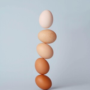 Όλα όσα προσφέρει η καθημερινή κατανάλωση αυγού στον οργανισμό σου