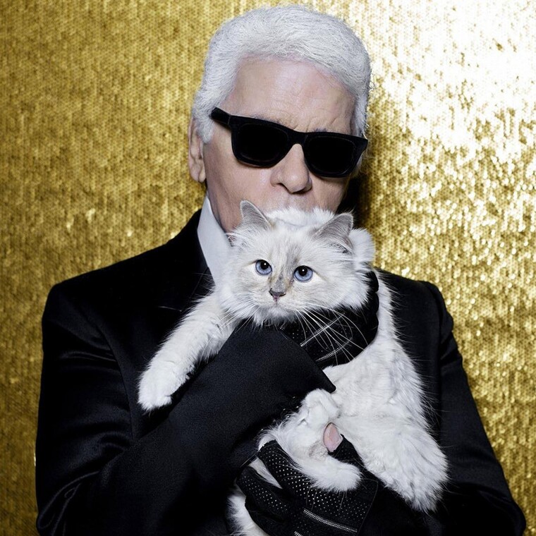 Η γάτα του Karl Lagerfeld λανσάρει ένα νέο κρεβάτι για γάτες